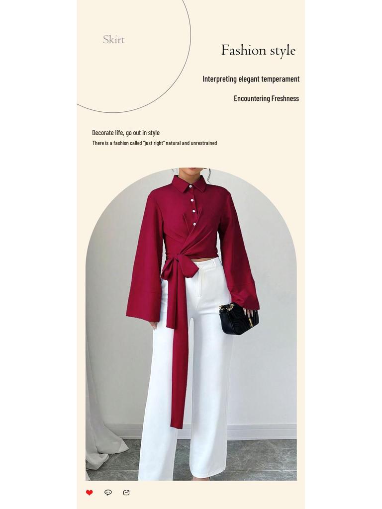 2025 Elegantes Damen-Hemd mit Schleife: Vielseitig, Einfarbig, Frühling & Herbst Design