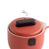 Nanshan Sir Portable Kung Fu Tea Set with Tea Tray