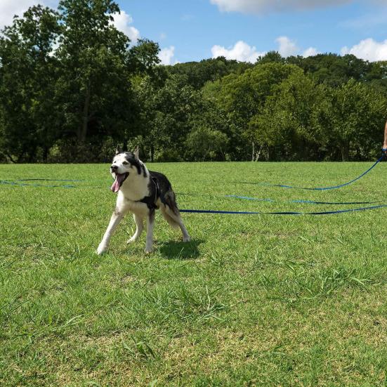 Nylon Dog Leash 6Ft 10Ft 16Ft Heavy Duty Leash with Comfortable Grip Training Leash for Medium Large Dogs Outdoor Walking Hiking