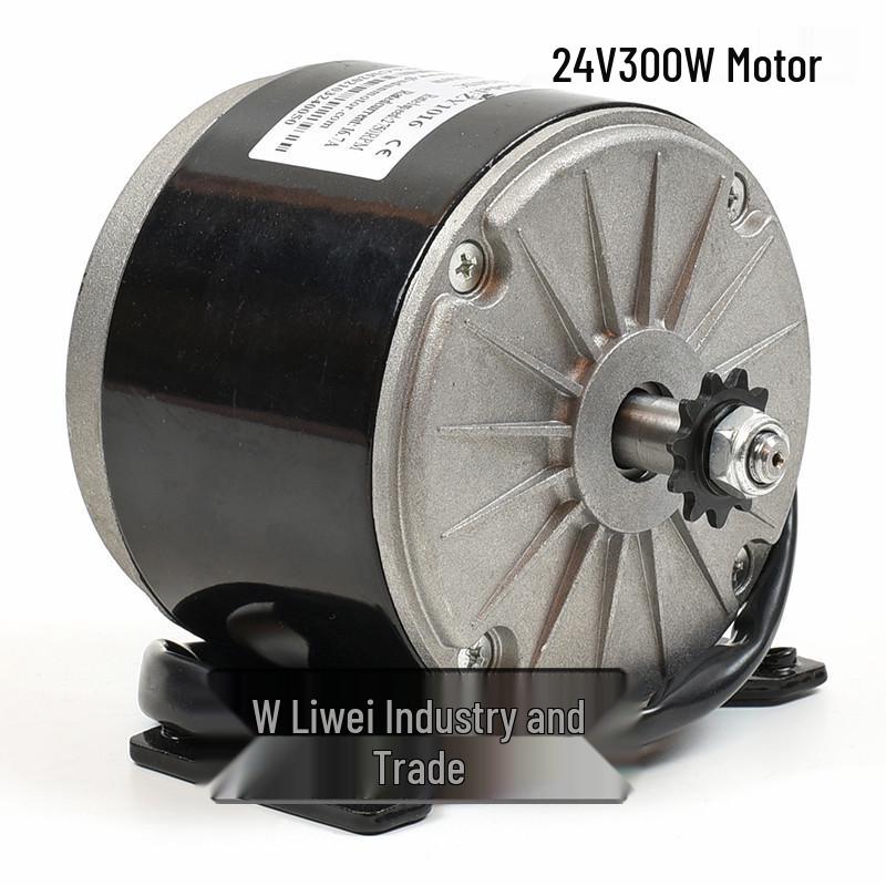 Little Dolphin 24V Electric ATV with 300W Motor