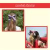 10PCS Soccer Themed Fabric Hair Bowknots Supporter Hair Decorations Perfect For Sports Event And Celebration