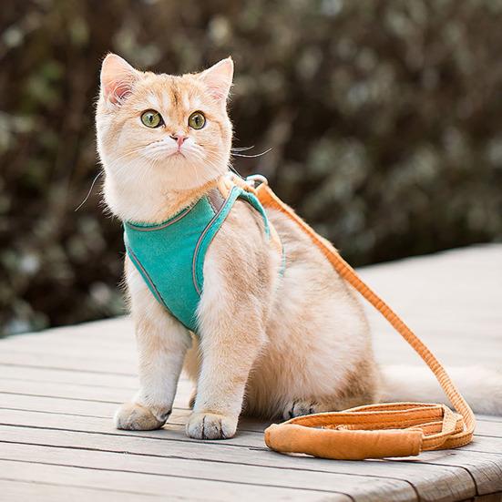 Pet Harness Cat Halter Soft Breathable Vest with Cat Leash Reflective Safety Harness for Outdoor Walking And Traveling