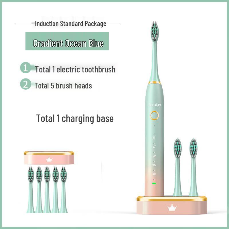 

DSK Smart Induction Sonic Electric Toothbrush