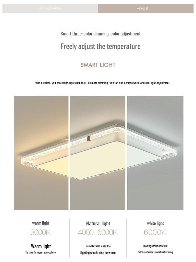 2025 Modern Acrylic Ceiling Light for Living Room or Master Bedroom