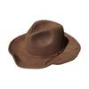 Korean Casual Brown Black Wide-Brimmed Wool Top Hat Men'S And Women'S Autumn And Winter Vacation Versatile Retro Felt Hat