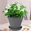 Bonsai Flower Pot with Base - Versatile Lightweight Planter Vegetable for Garden, Yard,