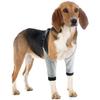 Köpek – Köpek bakım ürünleri