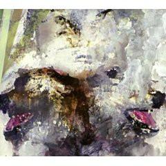 CD THESE ARMS ARE SNAKES - Tail Swallower And Dove DYMC080 Daymare Recordi 2008 Japan ObiRock Used