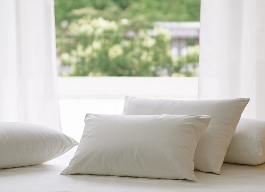 Futon Kobo Goo Goo Down Pillow, Upcycled 50% Down, Medium Size, 43cm x 63cm, Made in Japan, Double-Layered Down Pillow, Sustainable