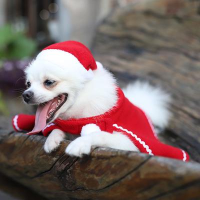 Dog Clothing, Puppy Teddy Dog Cape Hat Red Dress Pet Cap Cape