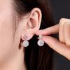 1 Carat Moissanite Stud Earrings, S925 Sterling Silver, Round Four-Claw Design