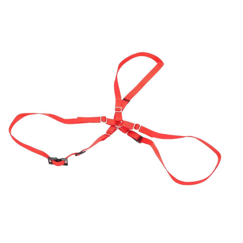 Spare Tire Strap Kit Fit for TRAXXAS UDR 1 10 RC Cars Nylon Spare Tire Fixed Y Strap with Hooks Red
