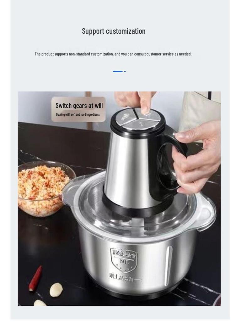 Compact Stainless Steel Meat Grinder and Blender with Dumpling Filling Feature