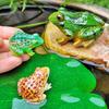 Creative Micro Landscape Frog Ornament for Fish Tank and Bonsai Decoration