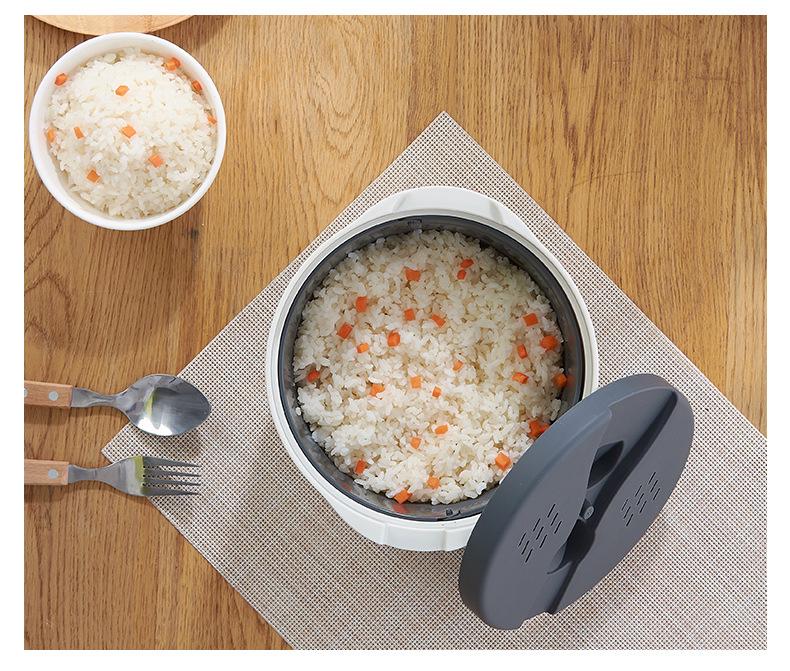 Portable Double-Layer Microwave with Lunch Spoon, Rice Steamer, Large Capacity Soup & Rice Cooker.