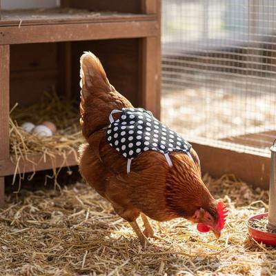Elastic Band Chicken Poultry Clothes Adjustable Feather Protection Holder Poultry Accessories  Farm