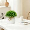 Artificial Plants in Hemisphere Pot Mini Potted Green Plants for Home Desk Decoration Indoor Outdoor Decor B2U3