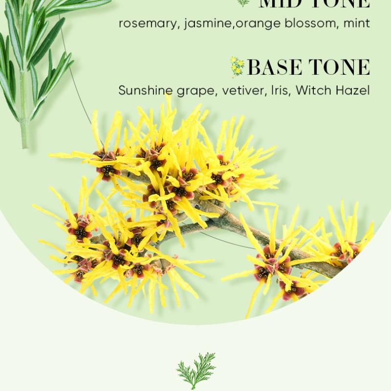 Botanický esenciální olej SADOER Růže Levandule Rozmarýn Hydratační Masážní Esenciální Olej