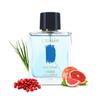 Marina Vibes | Fresh & Aquatic Perfume for Men | Eau De Parfum | Citrus-flavoured Scent |  Perfect for Office | Crisp & Compact Scent, 100 Ml