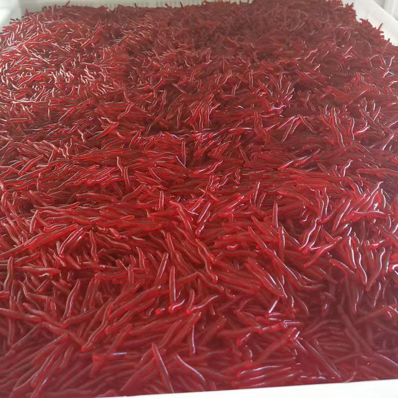 Fishy Bloodworm Soft Lure: Bionic Imitation Earthworm Bait