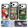 Flamingo Bird Nature Phone Case Cover Compatible with for IPhone 17air 16e 15 14 13 12 11Pro Max 17 Air
