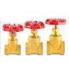 Versatile Brass Gate Valve with Female Thread 1/2" 3/4" 1" for Enhanced Plumbing Operations