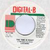 7inch Record LUCIANO  The Time Is Right NONE DigitalB 1998 Jamaica Reggae Ska  Dub Used