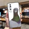 The Pigeons Case For Honor Magic 8 Lite 5 6 7 Pro Honor Win RT 400 200 50 70 90 X8c X9a X9b X9c X9d Cover