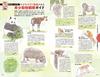 J00 Walking the Earth Japan 2023~2024