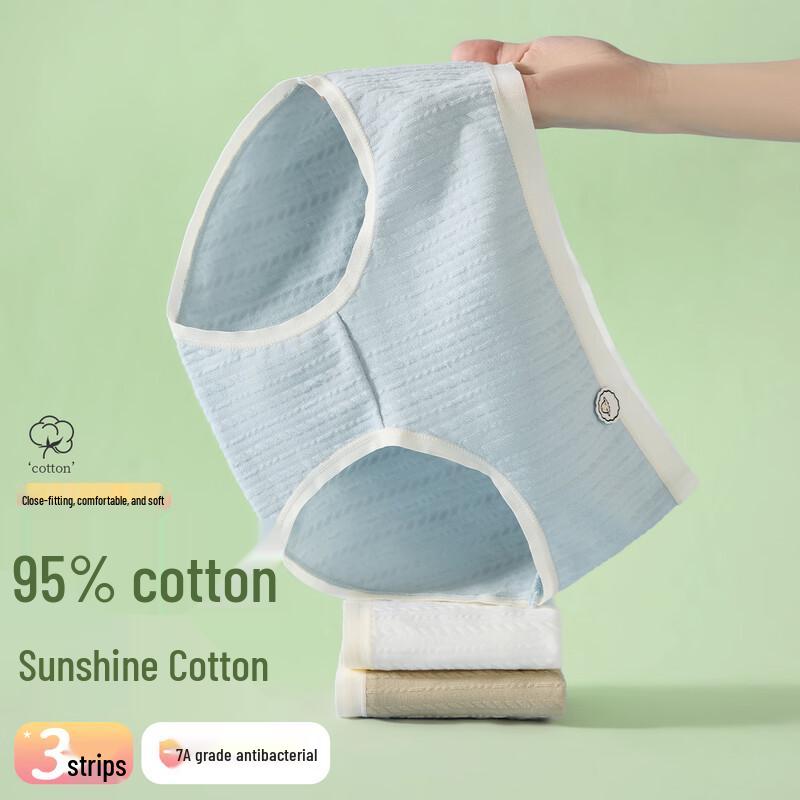 FENTENGCARE Women's 7A Antibacterial Cotton Briefs 3-Pack