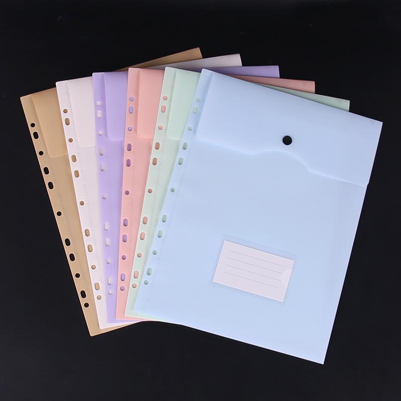 Transparent 3-Hole Folder with 11-Hole Pages, Vertical Snap Closure