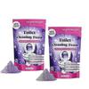 2X Limpiador de Espuma para Inodoro Fizzclean, Limpiador de Espuma Fizzclean de Acción Instantánea