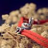 Mistletoe 925 Sterling Silver Adjustable Lovely Rabbit Bracelet