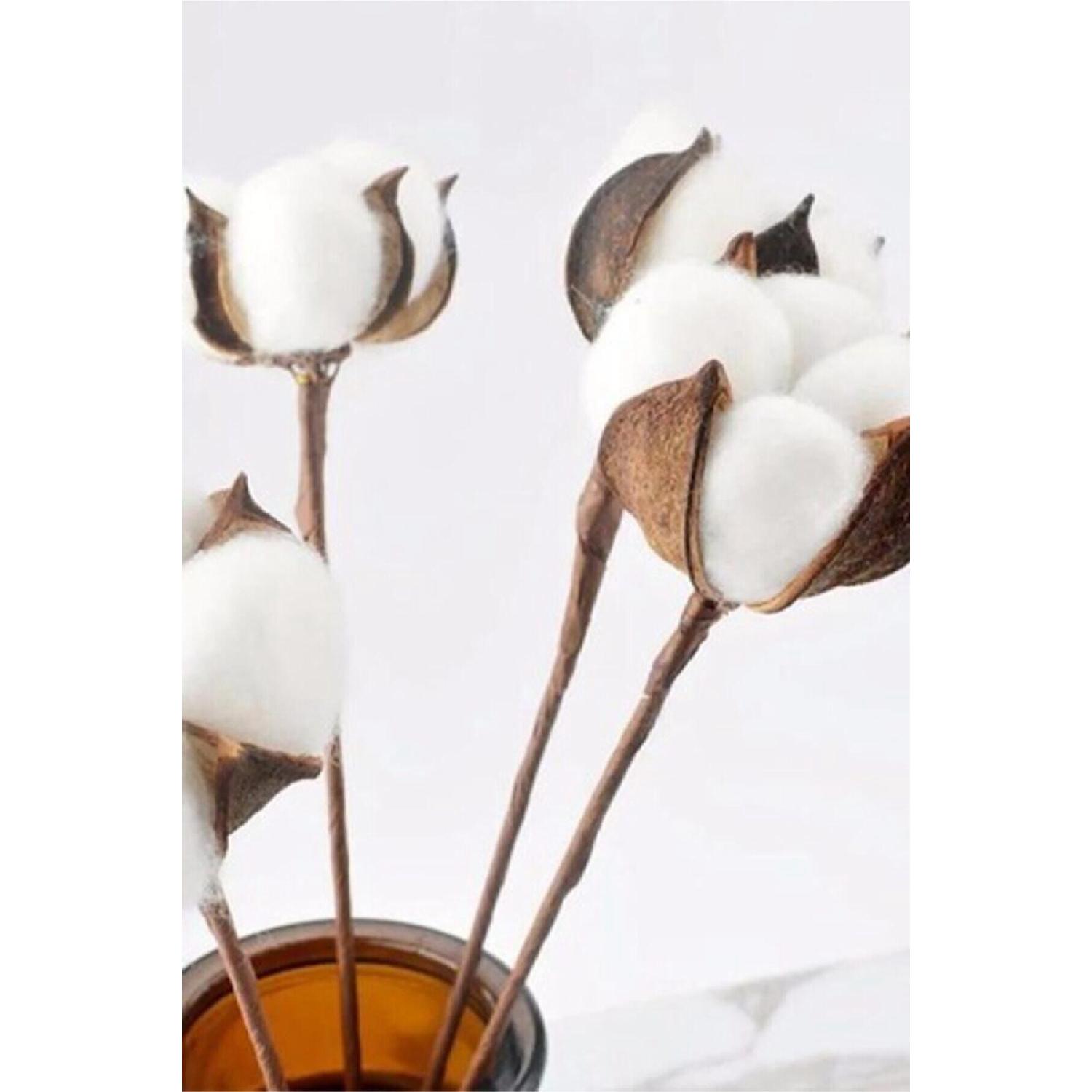 

White Natural Cotton Branches 6 Pieces белый