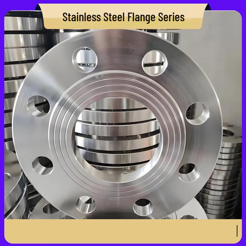 QS 316L Stainless Steel Flat Welding Flange