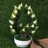 Forty Simulation Heartshaped One Pinecones Artificial Flower Plants Potted