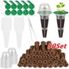 50 Set Hydroponics Pods Kit Indoor Garden Accessories Includes Grow Sponges Lids Labels Tweezers Flower and Plant Planting Set