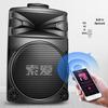 Soaiy A95 12-inch Portable Karaoke Speaker