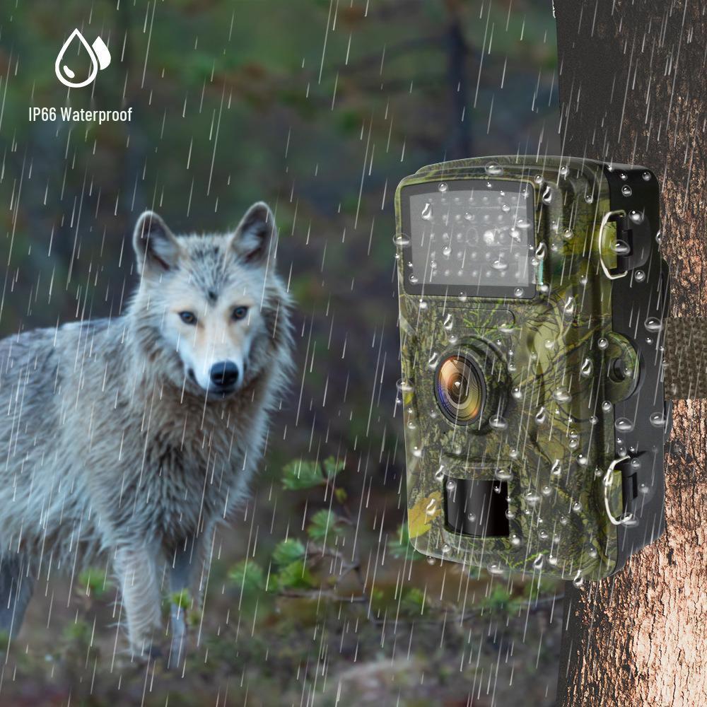 Waterproof IP66 Infrared Night Vision Wildlife Camera for Outdoor Monitoring