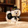 Halloween Pet Outfit Stars Moon Spiders 1 Set Cat Witch Costume, Black Cape And Wizard Hat, Dog Hat Cloak Star Pointed for Cats Small Medium