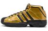 Pro Model 2G 'Gold Metallic' FV8922