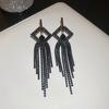 Silver Needle Feather Fringed Earrings Long Light Luxury Atmospheric Stud Earrings Personalized Design Earrings