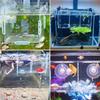 Fish Breeder Box for Aquarium Acrylic Clear Breeder Box with Hook Multifunctional Non Slip Aquarium Incubator with Suction Cup