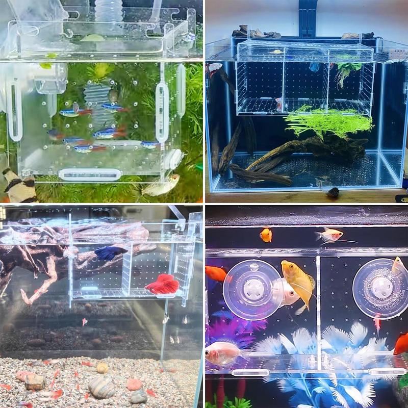 Fish Breeder Box for Aquarium Acrylic Clear Breeder Box with Hook Multifunctional Non Slip Aquarium Incubator with Suction Cup