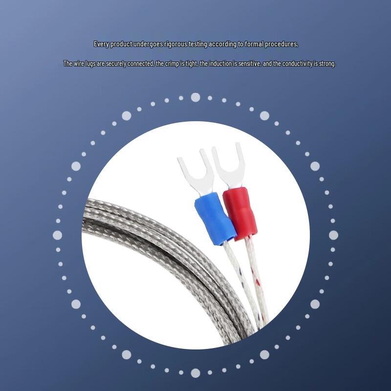 BERM K-Type Thermocouple Needle Probe