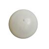 MASTER Gymnastics Ball 26 Cm - White