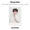 Stray Kids 2024 SEASON'S GREETINGS Perfect Day with SKZ JYP SHOP Official Photocard