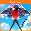 Spring Swallow Kite With Polyester Material And Glass Fiber Frame For Kids Outdoor Play