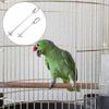 2Pcs Parrot Pet Hanging Skewer Feeder Fruit Holder Food Stick Portable Birds Foraging Toy Parrots Cockatoo Cage