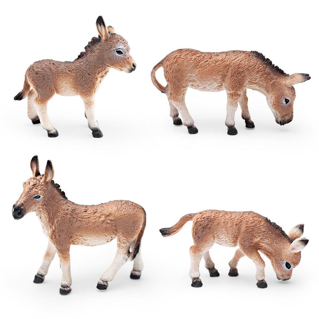 Wild African and Mongolian Donkey Model Set: Male, Female, Foal - Children's Educational Toy